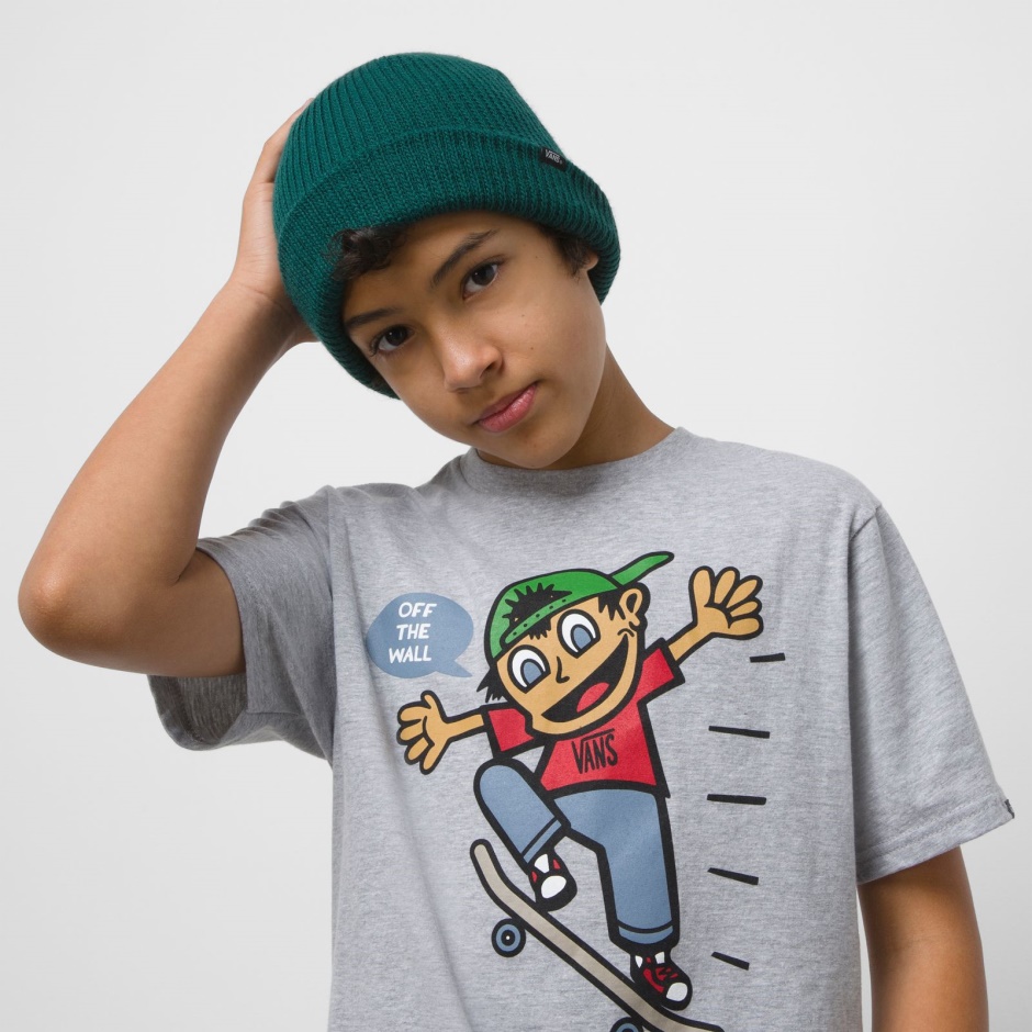 Gorro De Niño Core Basics Jardín Botánico Vans