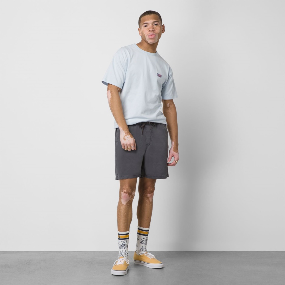 Gama Sal Lavado Relajado Elástico 18" Furgonetas Cortas Asfalto