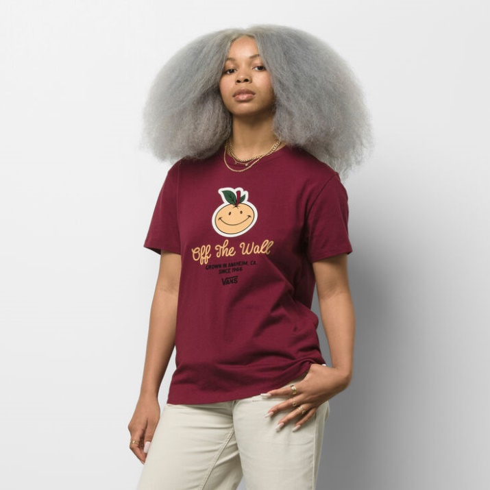 Anaheim Y Bff Camiseta Tawny Port Vans